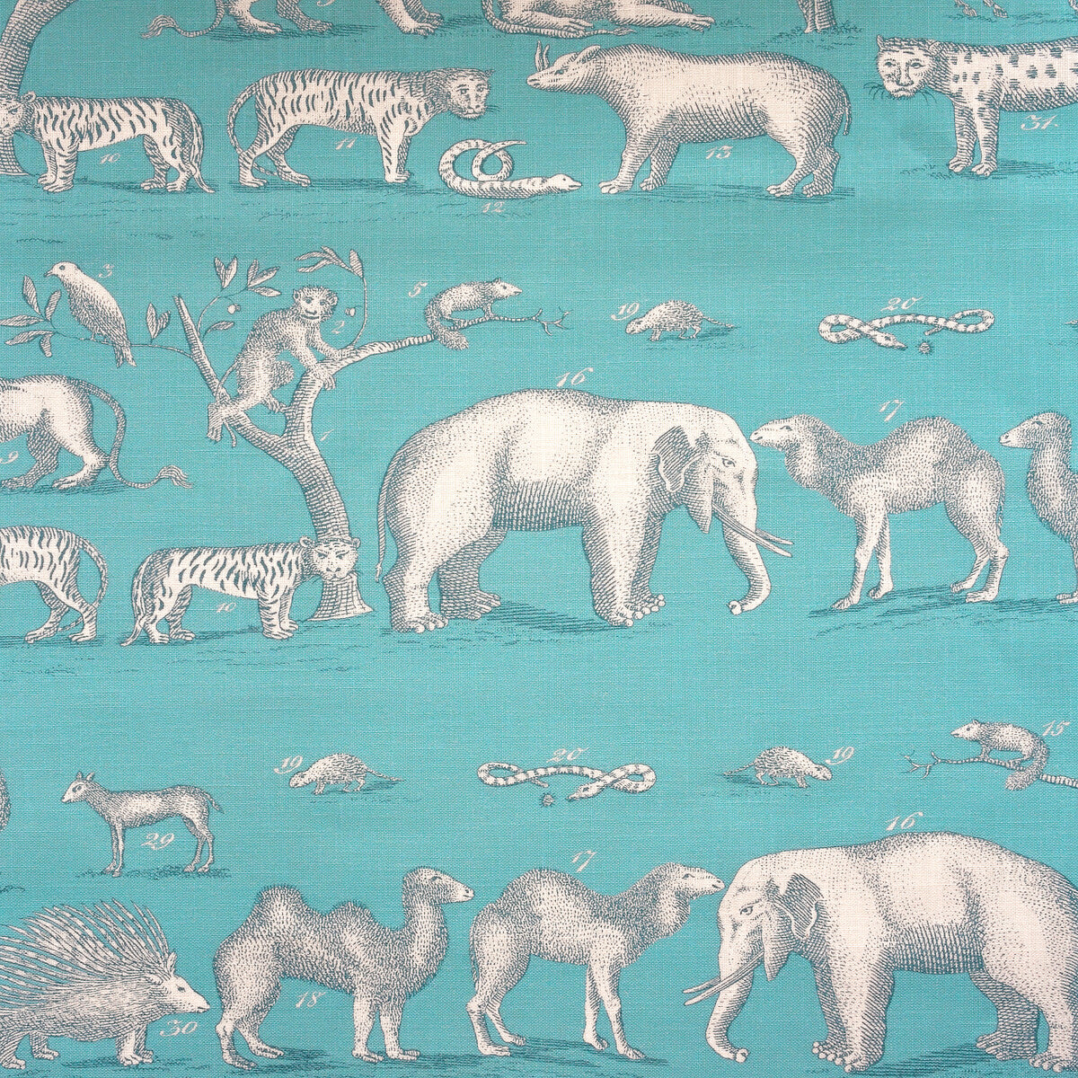 KRAVET COUTURE KINGDOM OUTDOOR LAGOON