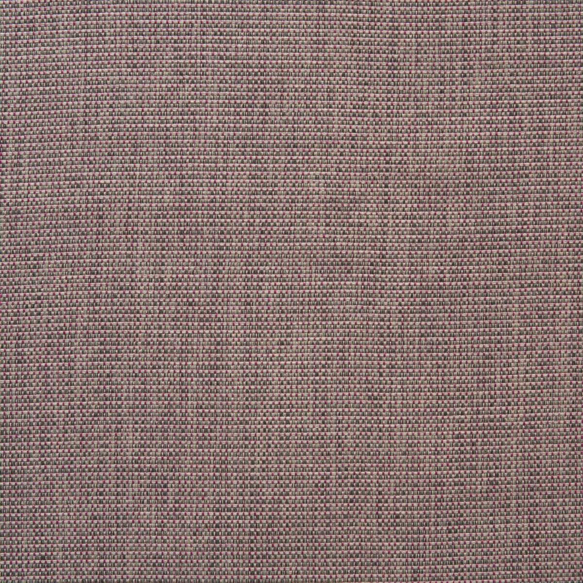 KRAVET COUTURE BARRINGTON PARADISE