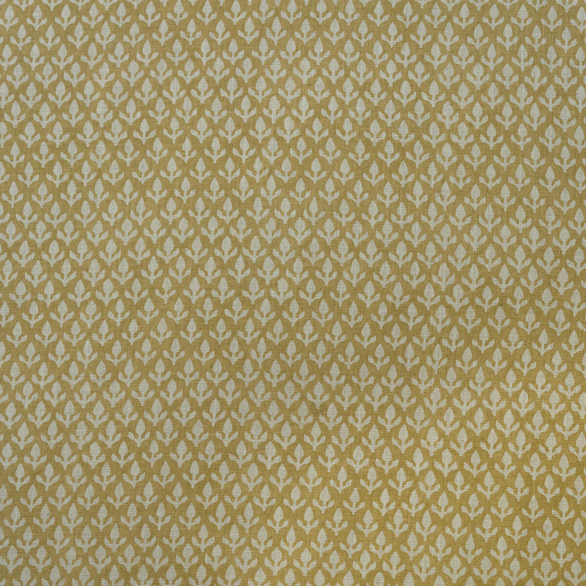 KRAVET COUTURE BUD HONEY