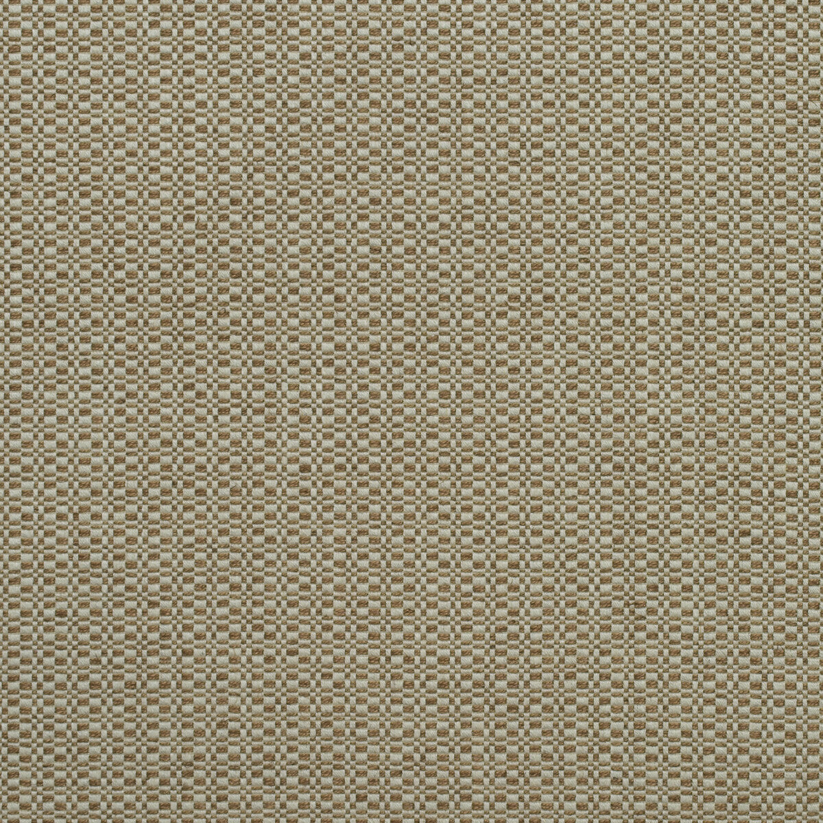 KRAVET COUTURE BIRCH AUTUMN