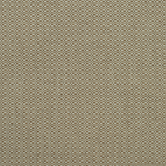 KRAVET COUTURE BIRCH AUTUMN