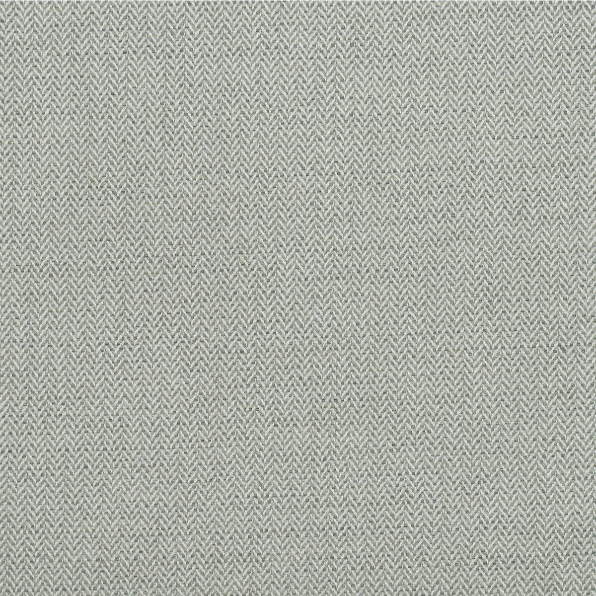 KRAVET COUTURE BIRDS FOOT STORM