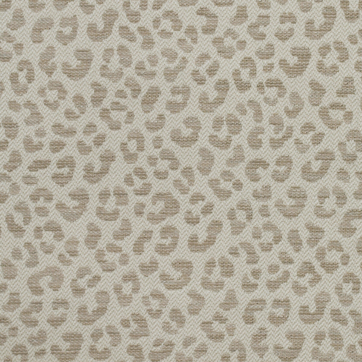 KRAVET COUTURE WILDCAT STONE