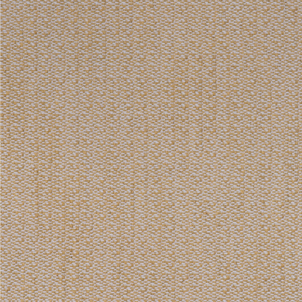 KRAVET COUTURE RAVELLO LEMON
