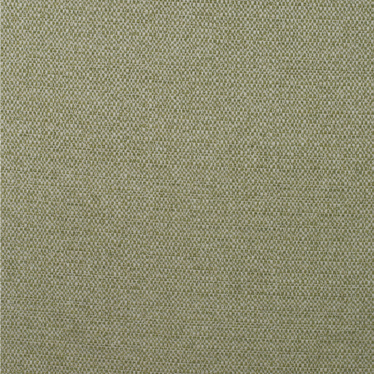 KRAVET COUTURE JETTY REED