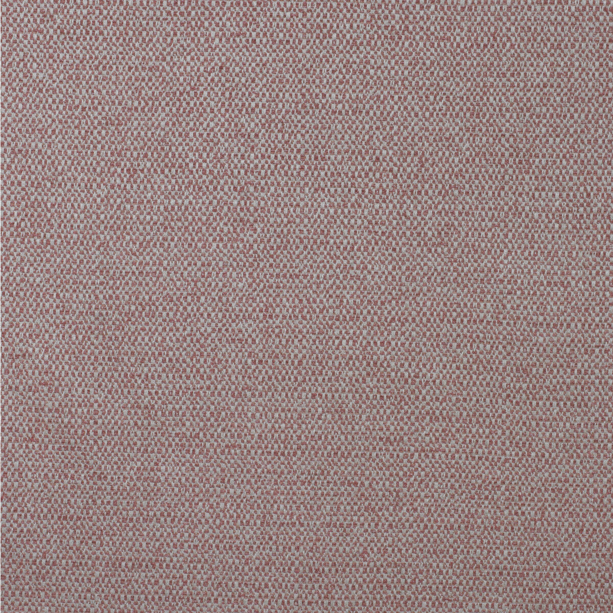KRAVET COUTURE JETTY LOBSTER