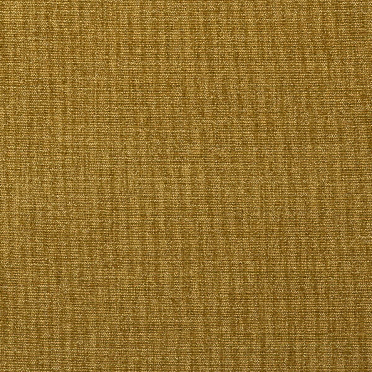 KRAVET COUTURE CORACLE MUSSEL