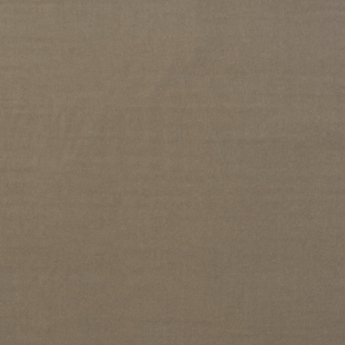 KRAVET COUTURE MEDICI STONE