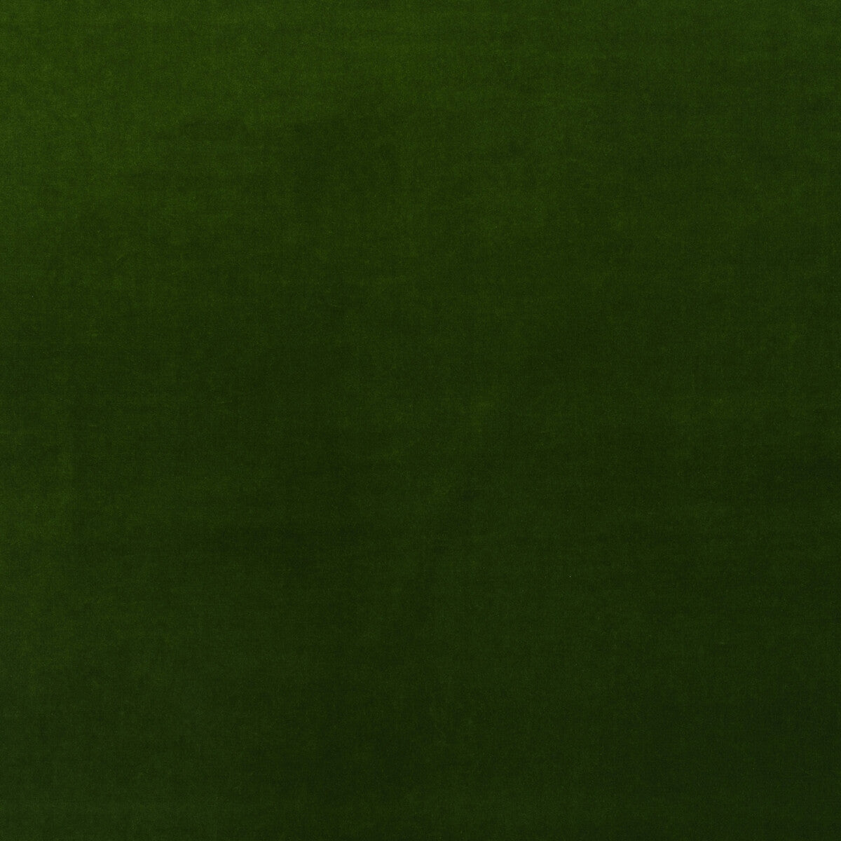 KRAVET COUTURE MEDICI IVY