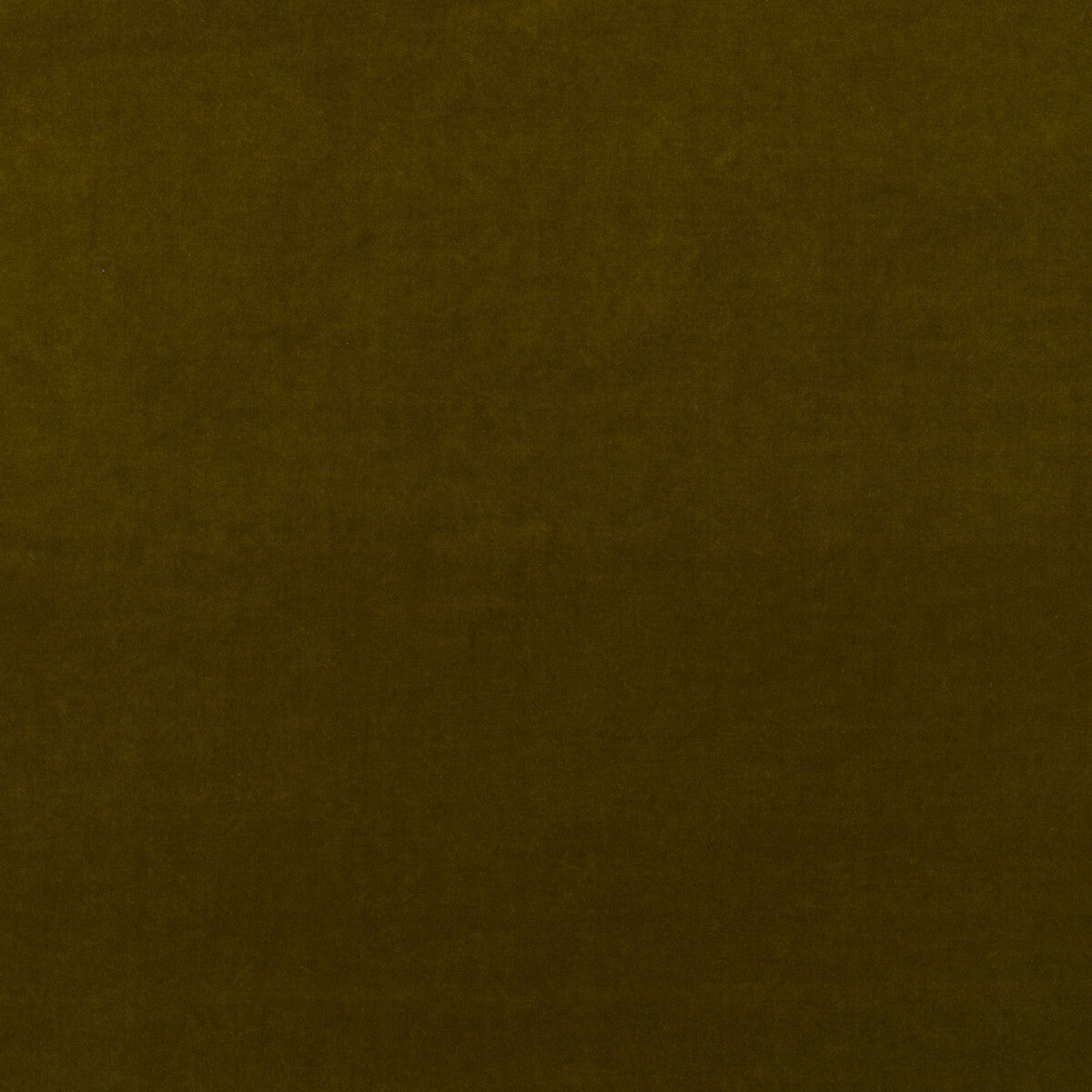 KRAVET COUTURE MEDICI OLIVE