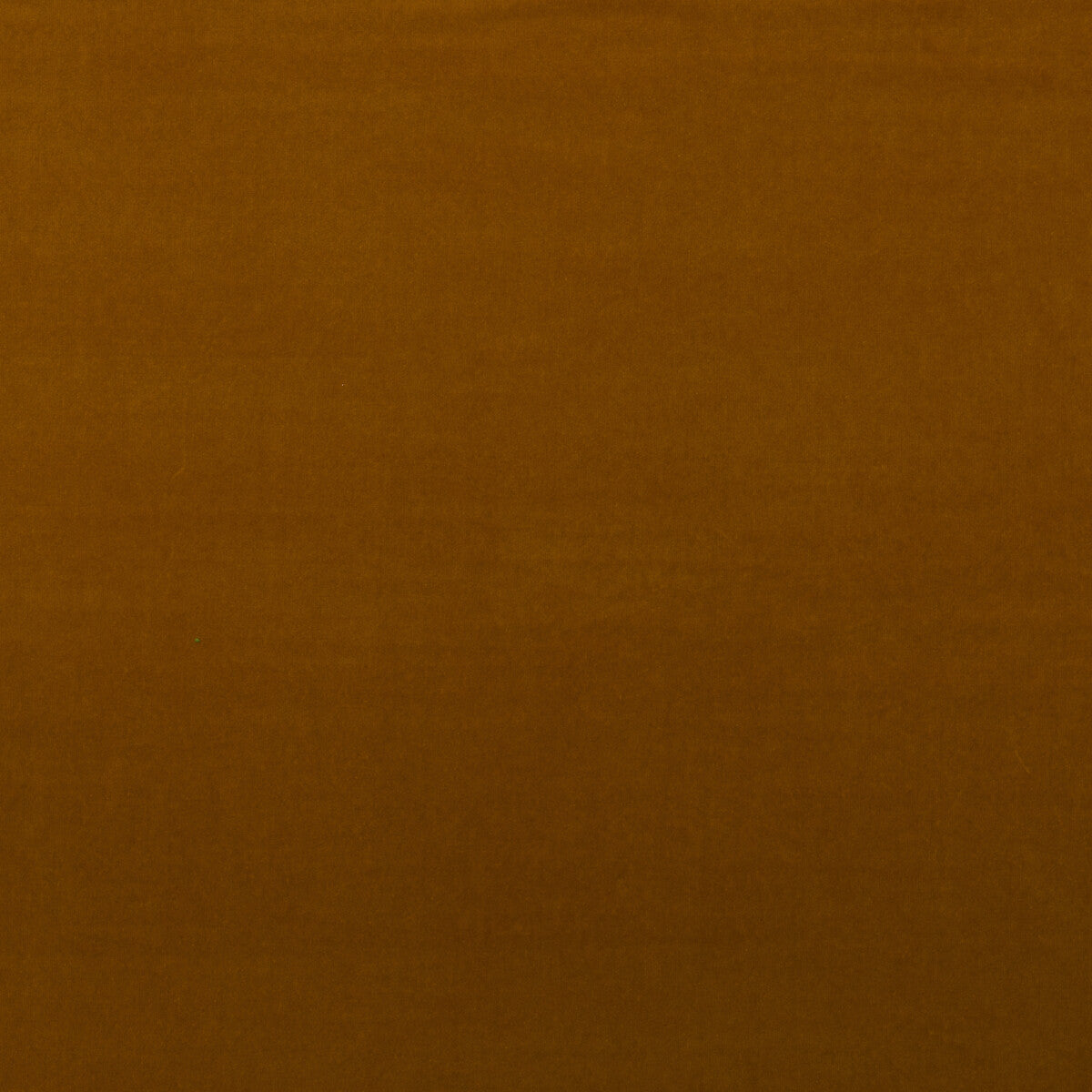 KRAVET COUTURE MEDICI MUSTARD