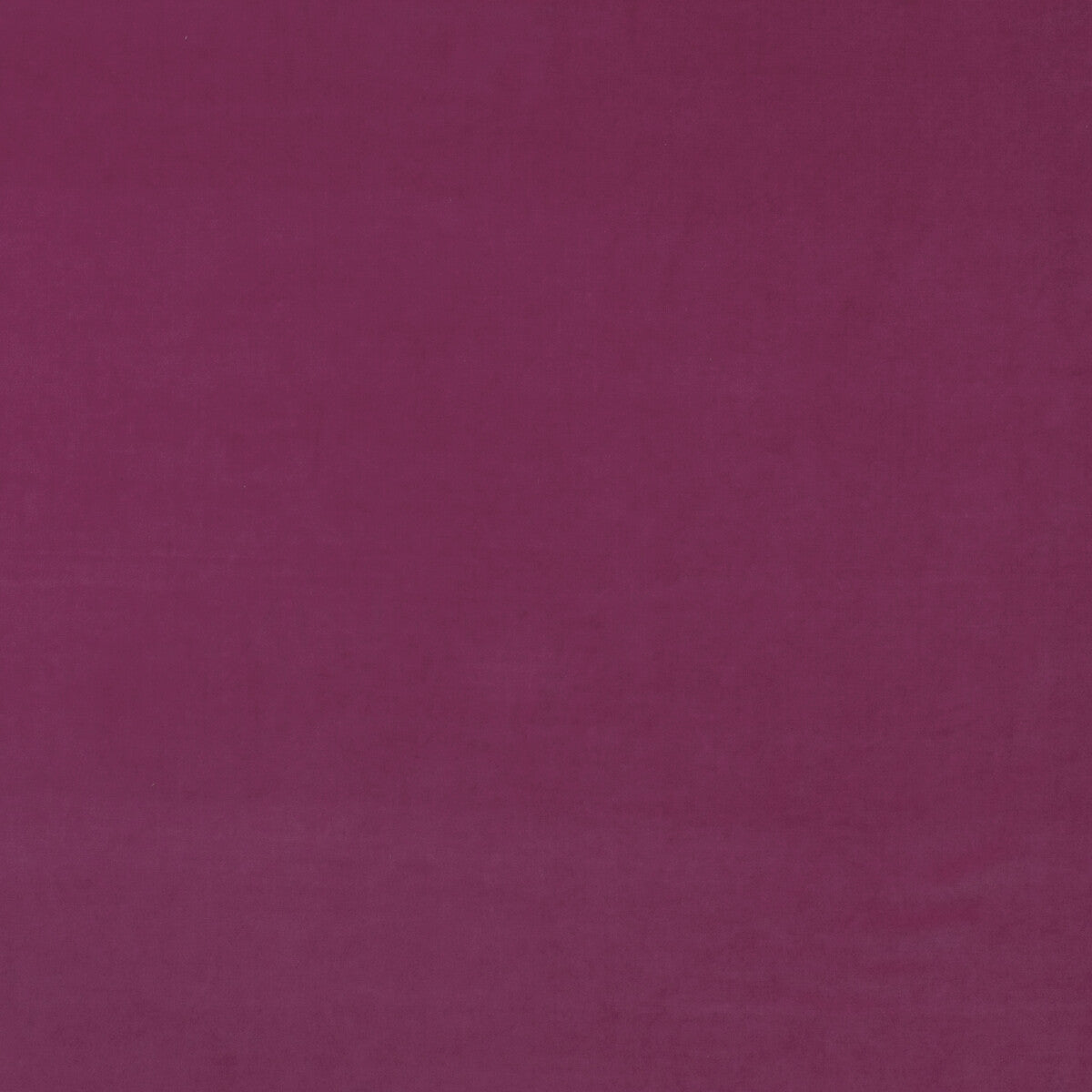 KRAVET COUTURE MEDICI GERANIUM