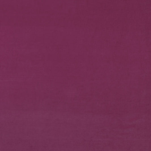 KRAVET COUTURE MEDICI GERANIUM