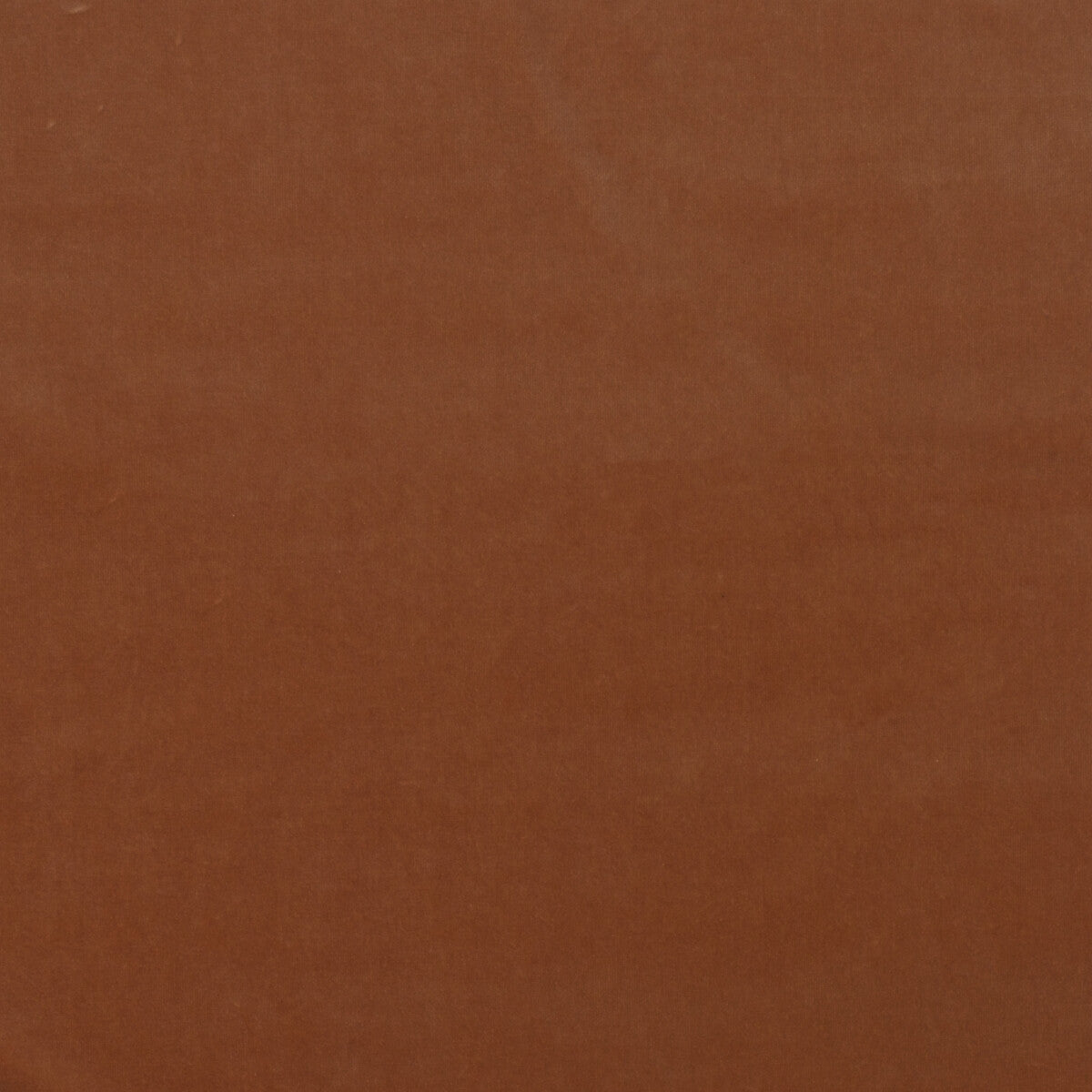 KRAVET COUTURE MEDICI PIGMENT