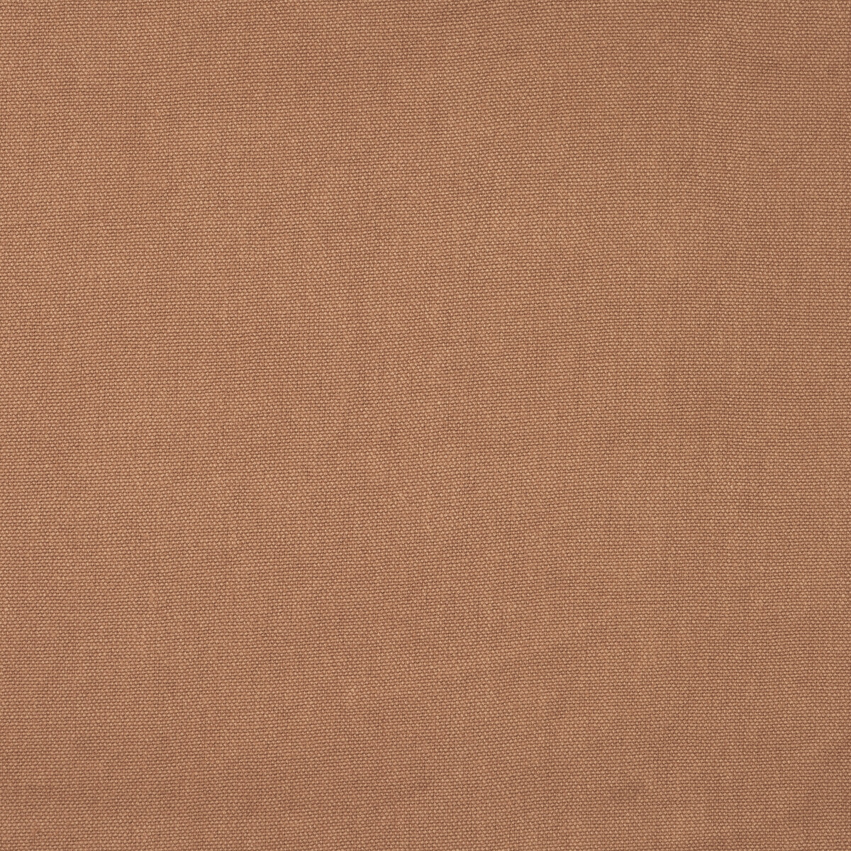 KRAVET COUTURE ROCCO PLASTER