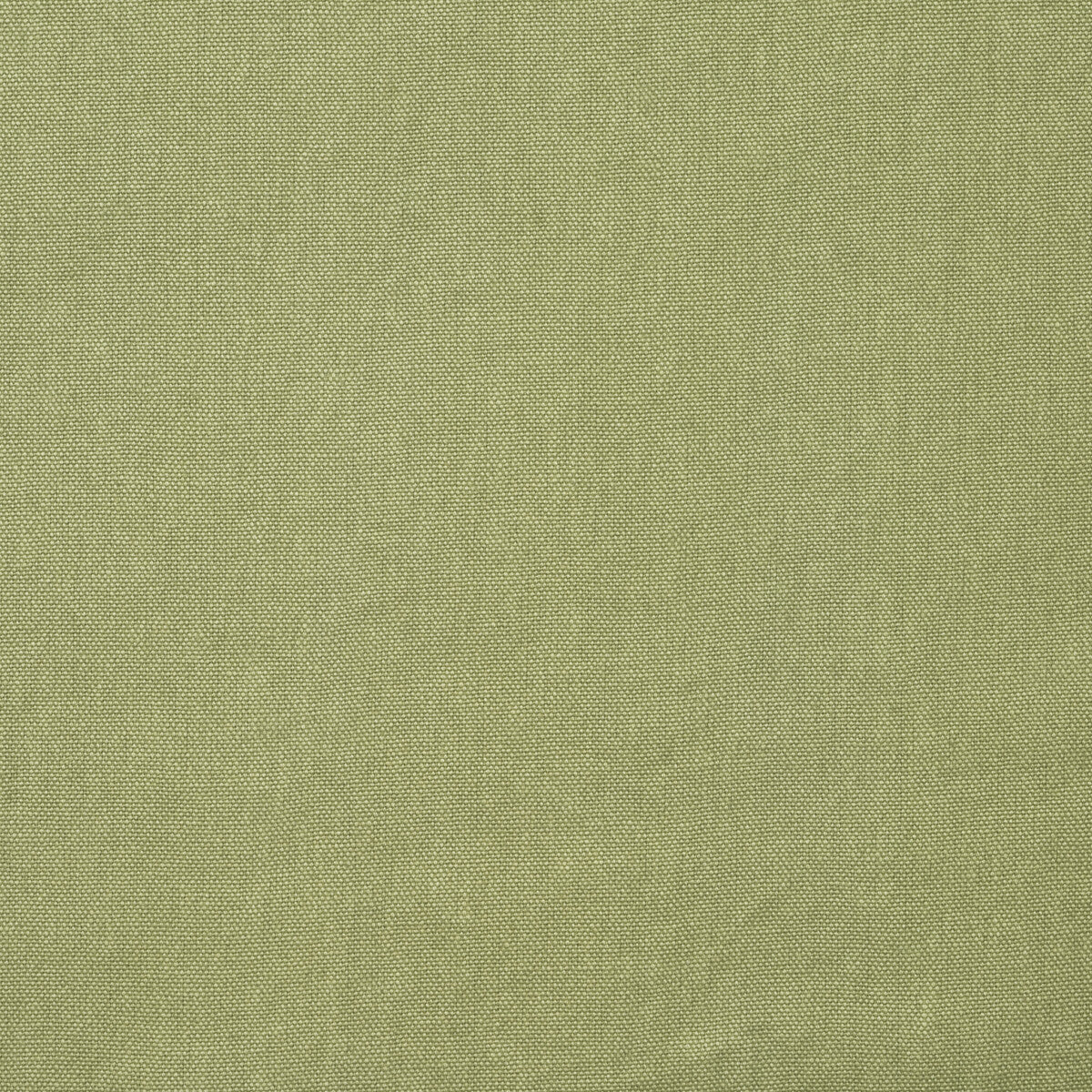 KRAVET COUTURE ROCCO SAGE