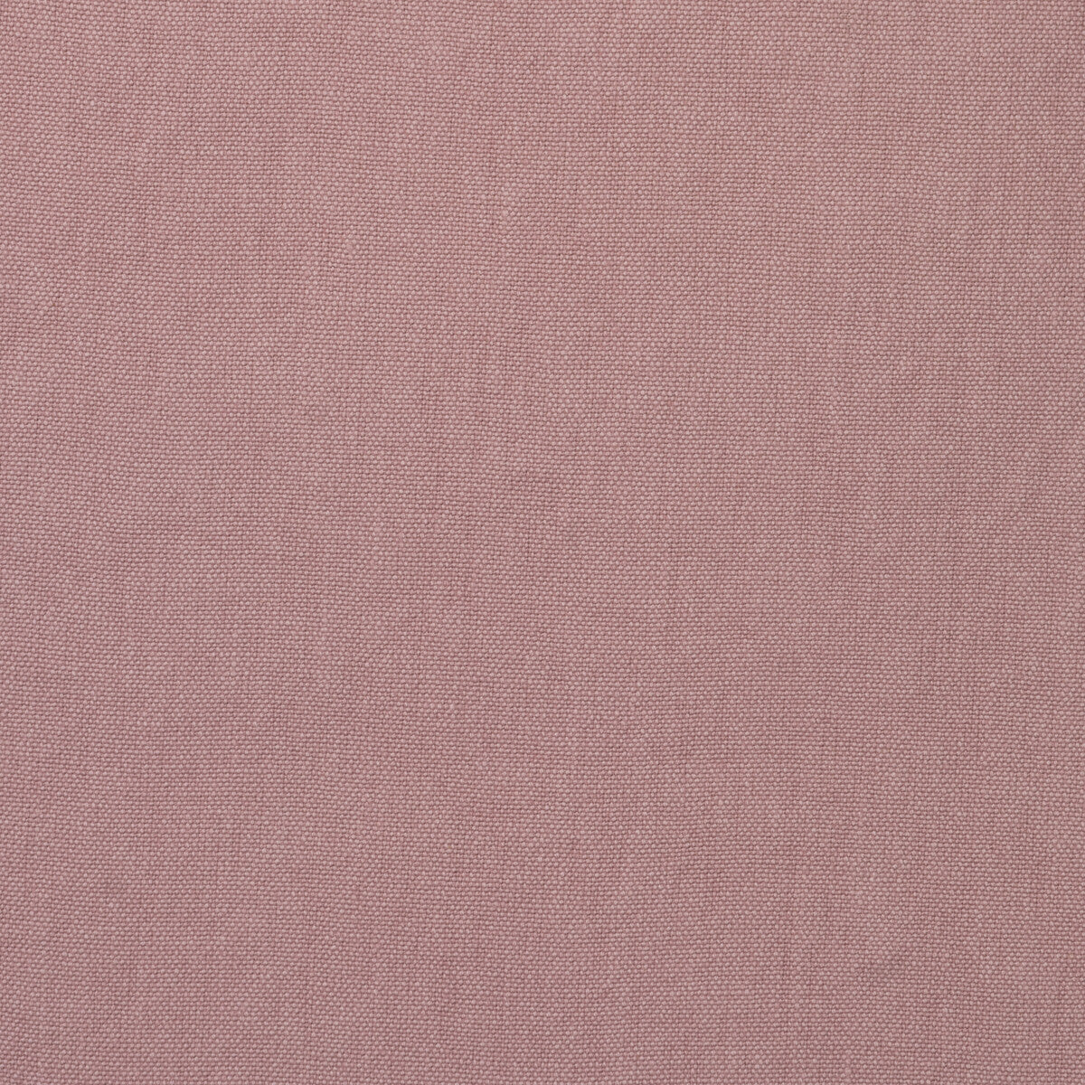 KRAVET COUTURE ROCCO PETAL