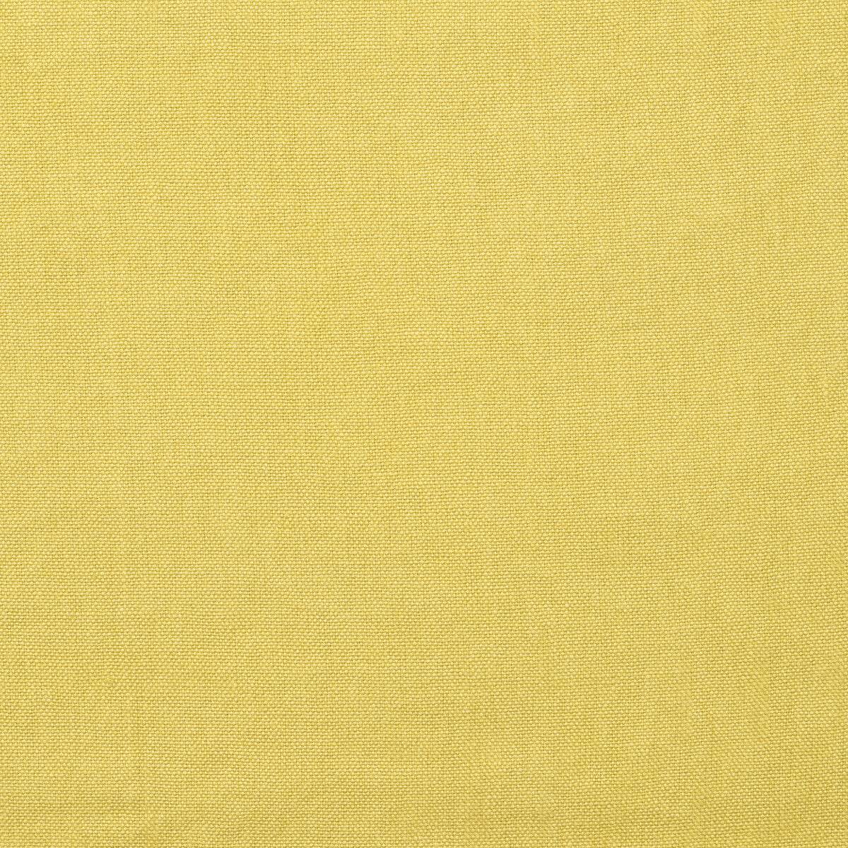 KRAVET COUTURE ROCCO CITRINE