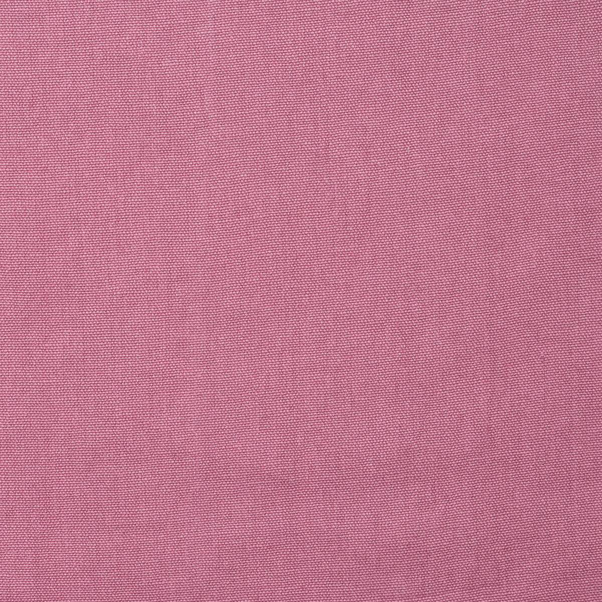 KRAVET COUTURE ROCCO ROSE