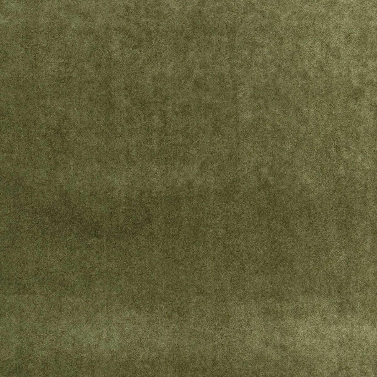 KRAVET COUTURE VENETIA OLIVE