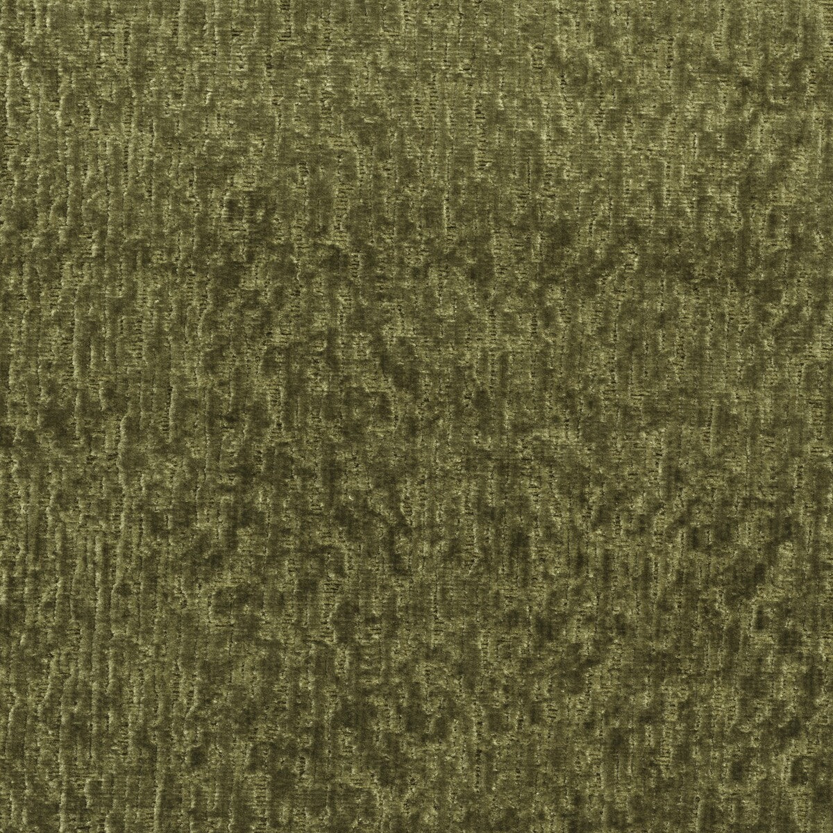 KRAVET COUTURE ROMA OLIVE