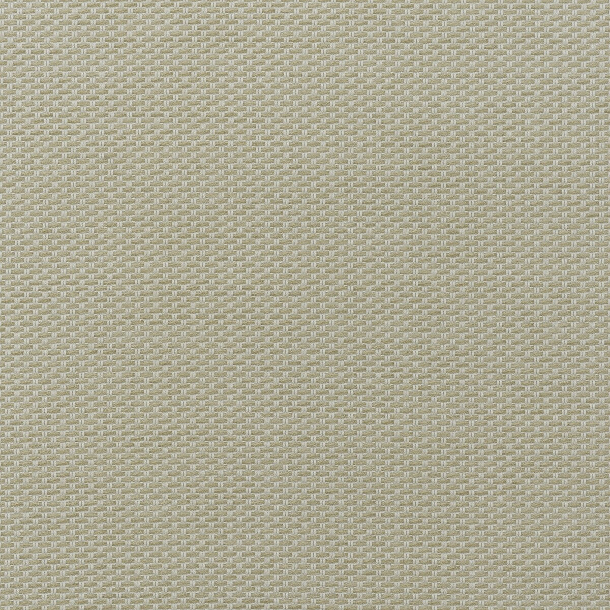 KRAVET COUTURE TAORMINA STONE