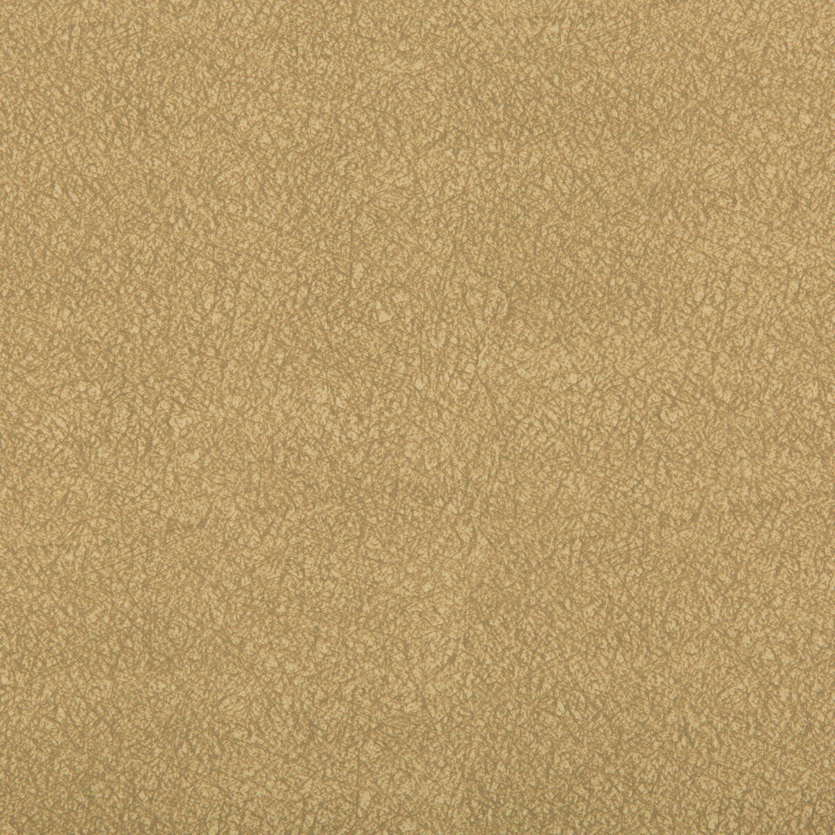KRAVET CONTRACT AMES SANDALWOOD
