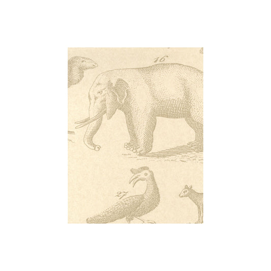 KRAVET COUTURE ARK SAND