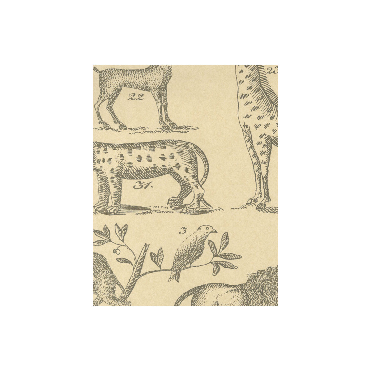 KRAVET COUTURE ARK PARCHMENT