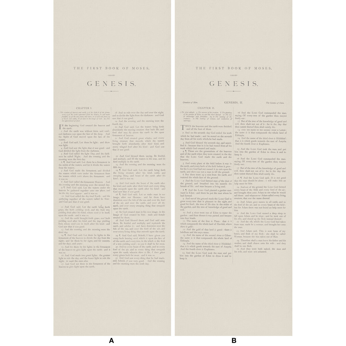 KRAVET COUTURE GENESIS 16