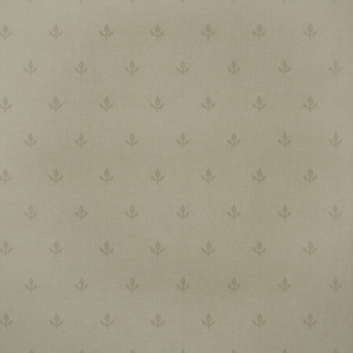 KRAVET COUTURE CROCUS STONE