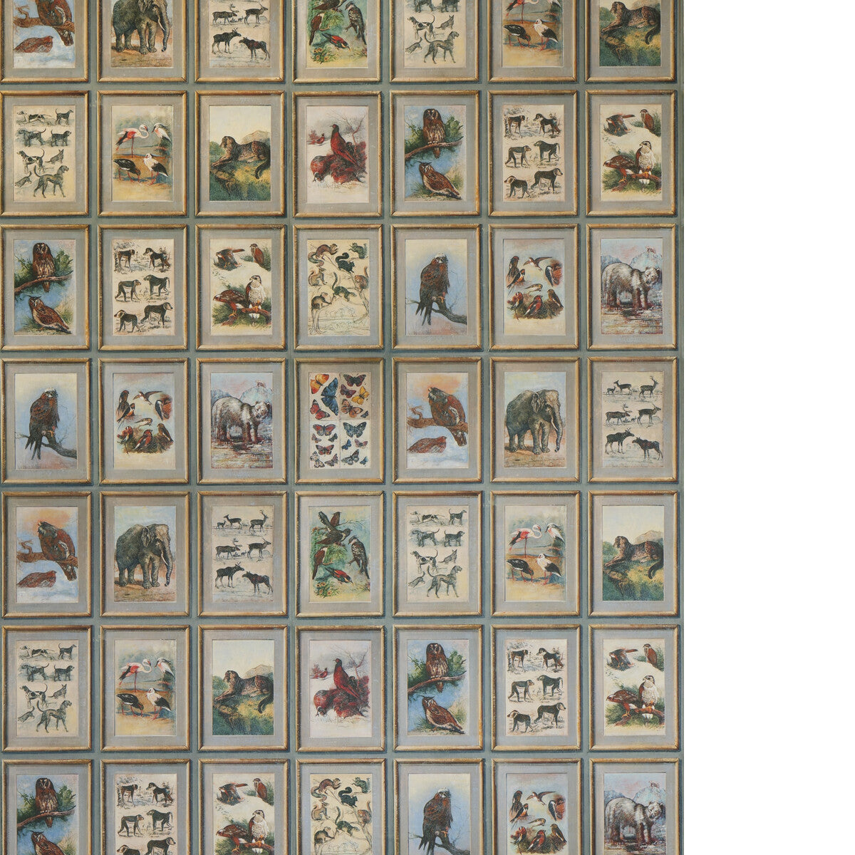 KRAVET COUTURE ZOOLOGY NEUTRAL