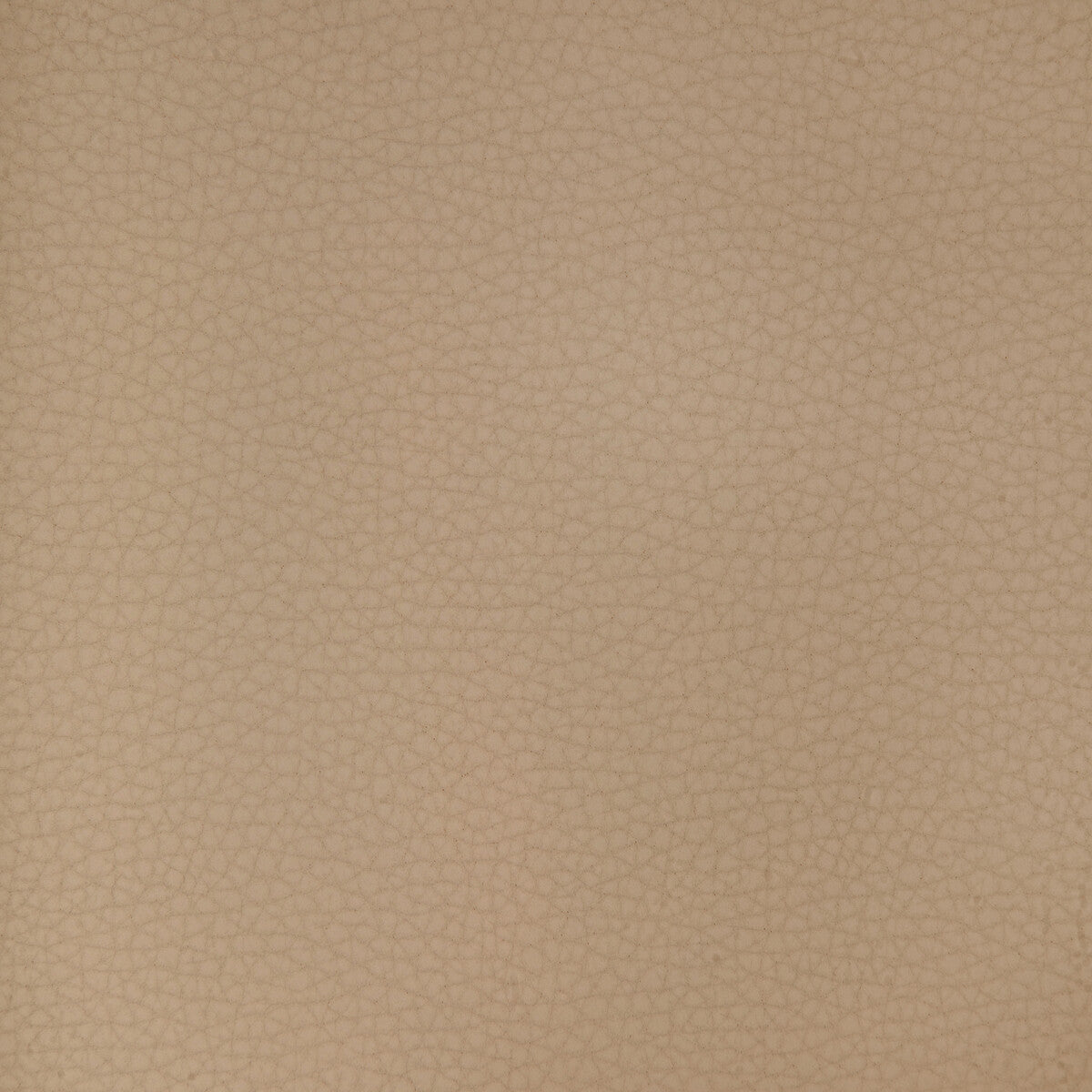 KRAVET DESIGN KRAVET DESIGN ARENI-1101