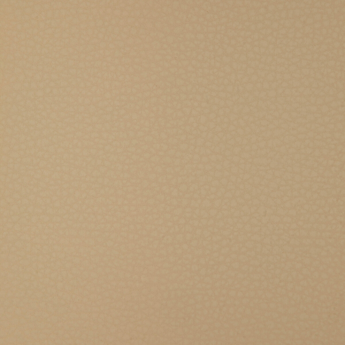 KRAVET DESIGN KRAVET DESIGN ARENI-16