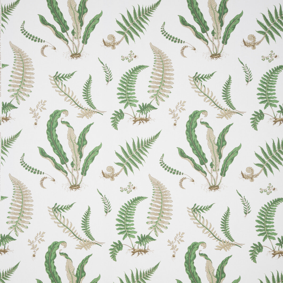 G P & J BAKER FERNS PRINT SNOW