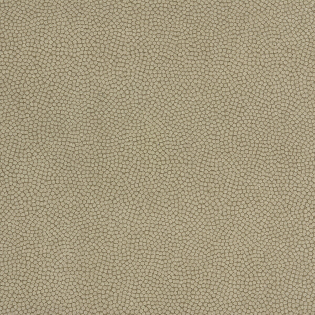 KRAVET COUTURE BEAUTYMARK GREYSTONE