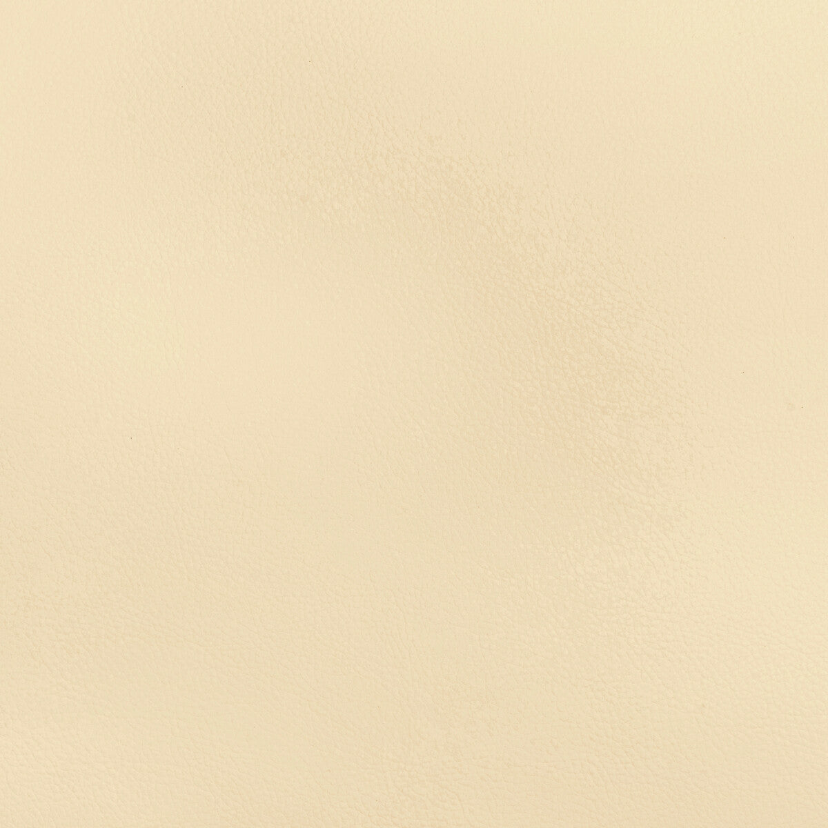 KRAVET DESIGN KRAVET DESIGN BEECH-1