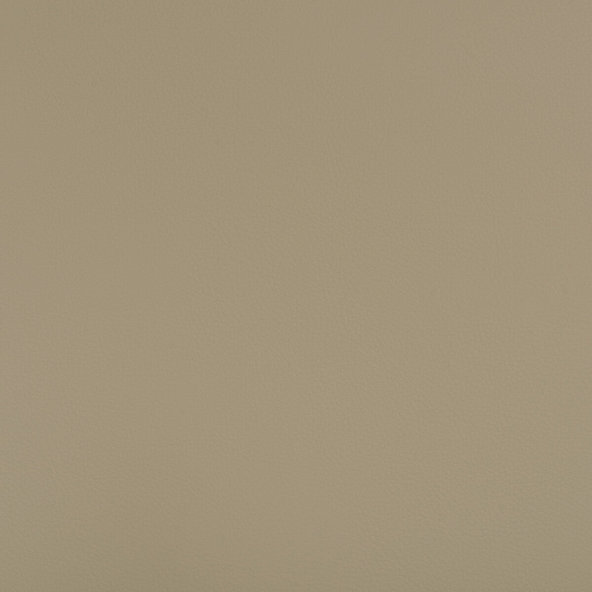 KRAVET DESIGN KRAVET DESIGN BEECH-106