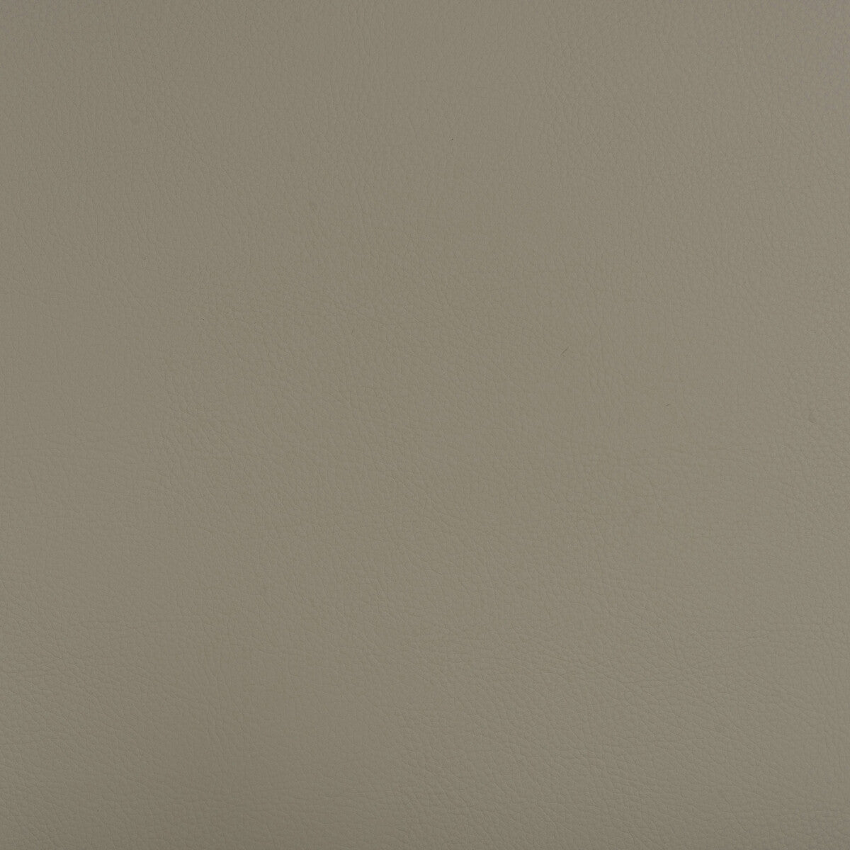 KRAVET DESIGN KRAVET DESIGN BEECH-1101