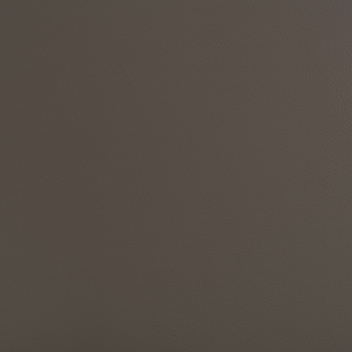 KRAVET DESIGN KRAVET DESIGN BEECH-21