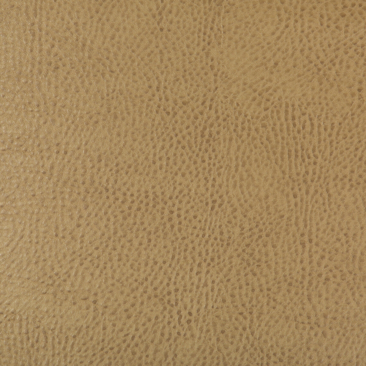 KRAVET DESIGN KRAVET DESIGN BEHOLDER-16