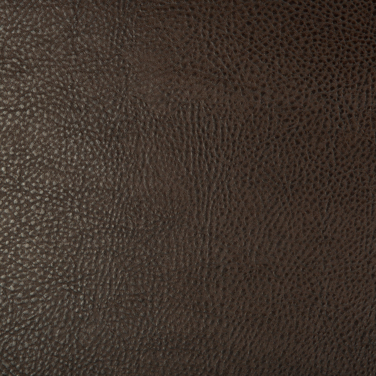 KRAVET DESIGN KRAVET DESIGN BEHOLDER-6