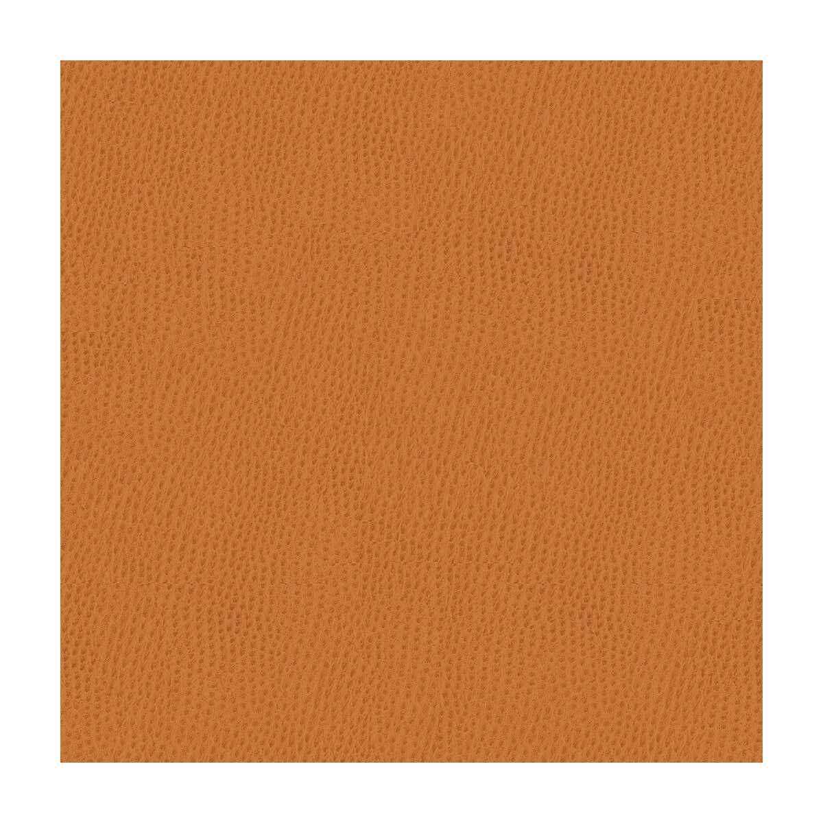 KRAVET CONTRACT KRAVET CONTRACT BELUS-212