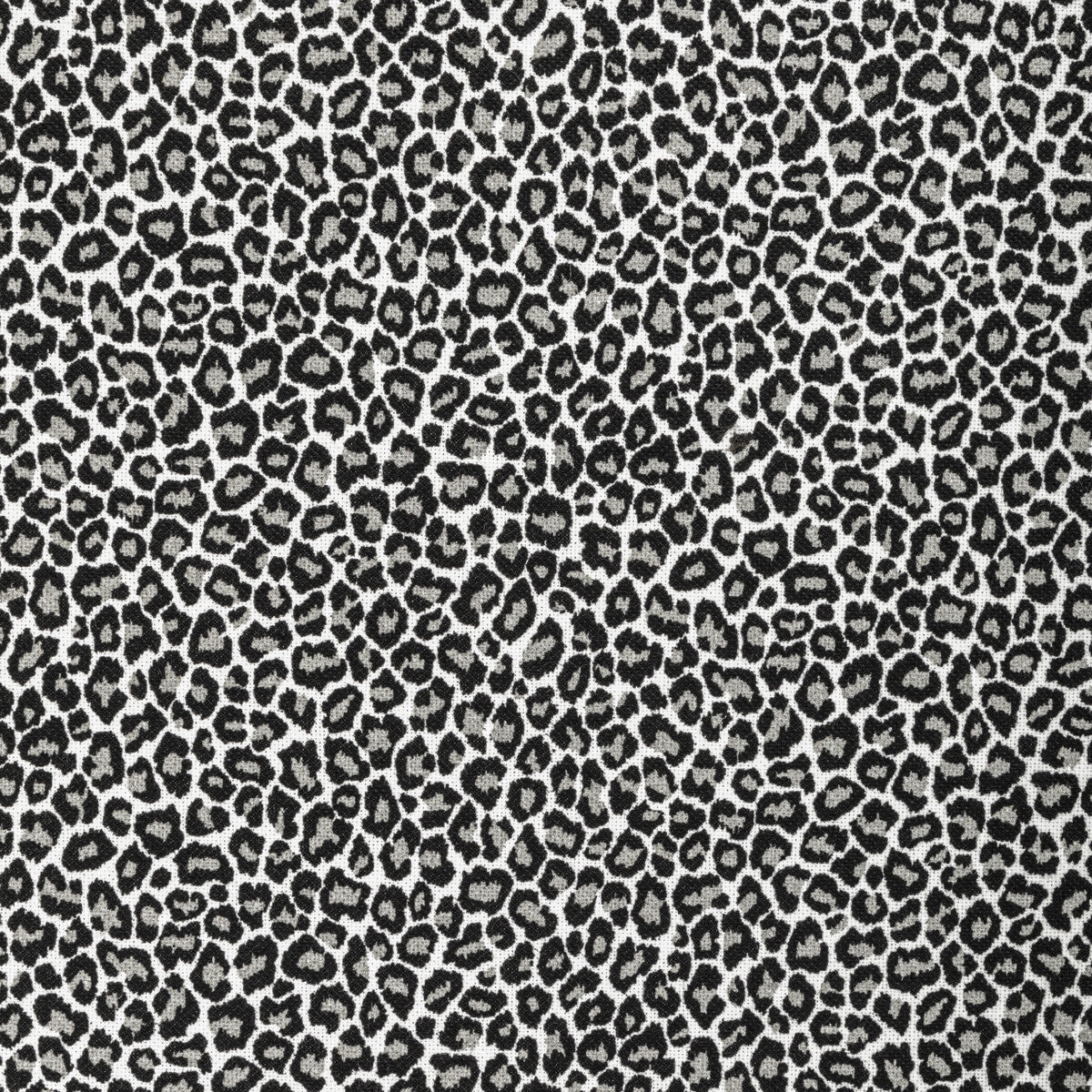 KRAVET BASICS KRAVET BASICS BENGALI-821