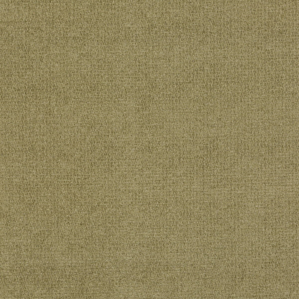 G P & J BAKER MATRIX SAGE