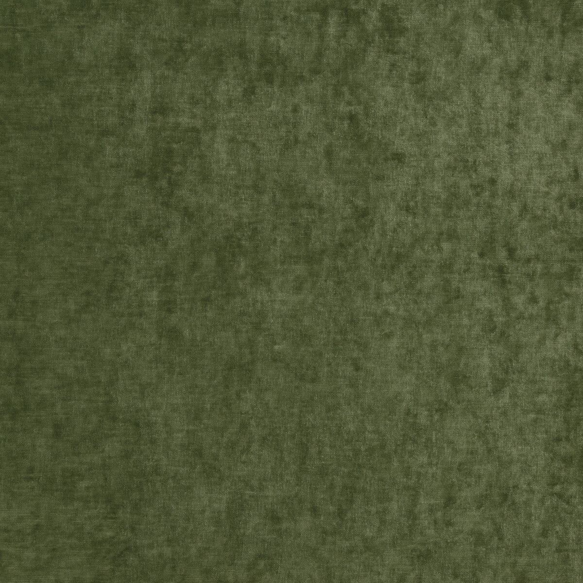 G P & J BAKER VINTAGE VELVET FERN
