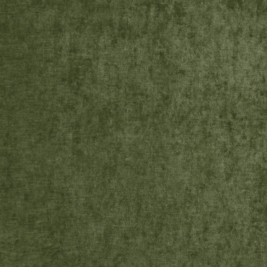 G P & J BAKER VINTAGE VELVET FERN