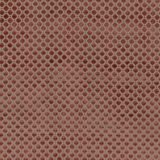 G P & J BAKER INDUS VELVET BLUSH