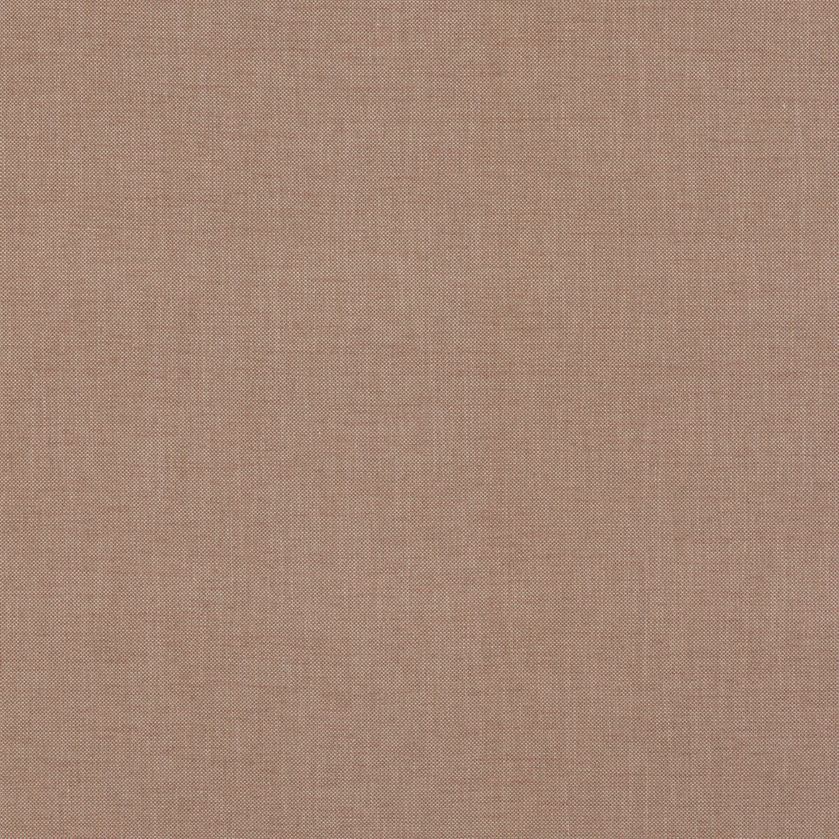 G P & J BAKER DARWEN BLUSH