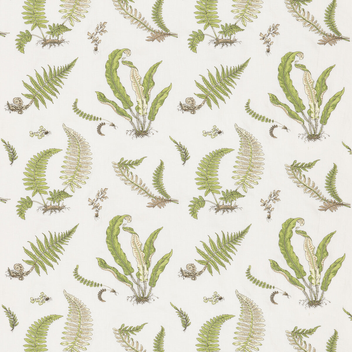 G P & J BAKER FERNS EMBROIDERY GREEN